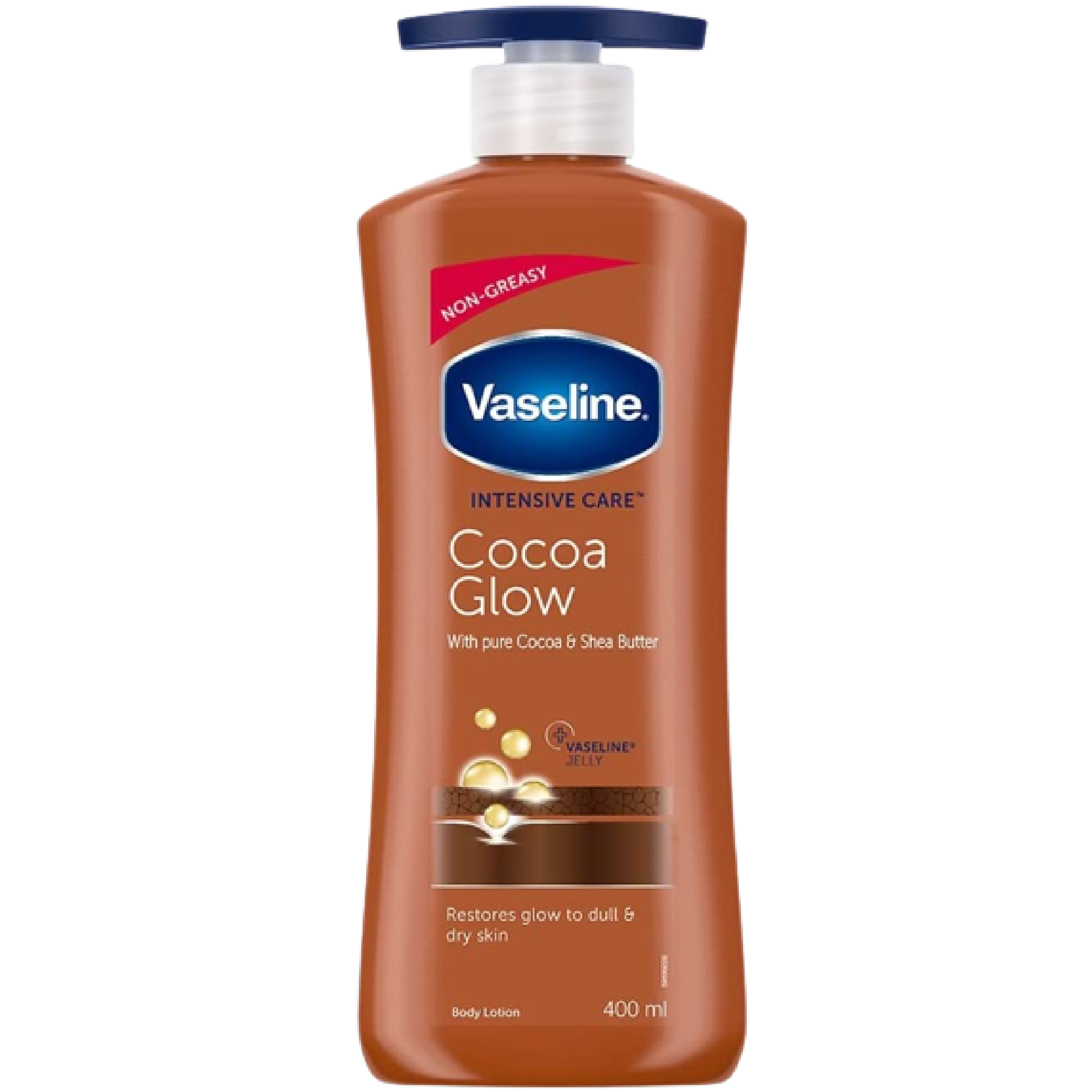 Body Lotions & Moisturizers